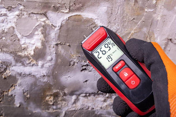 Best Attic Mold Removal  in Miami Lakes, FL