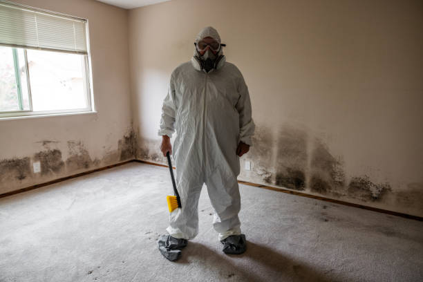 Crawl Space Mold Removal in Miami Lakes, FL
